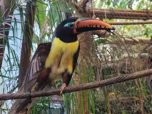 The Dallas World Aquarium