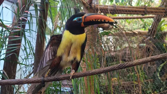 The Dallas World Aquarium