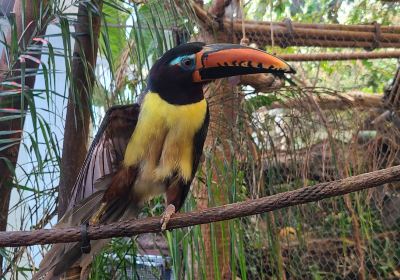 The Dallas World Aquarium