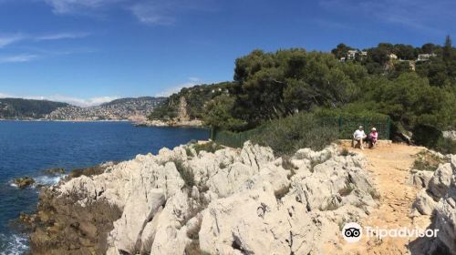 Saint Jean-Cap-Ferrat Hike