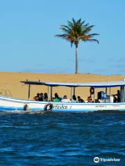 Farol da Foz Ecoturismo