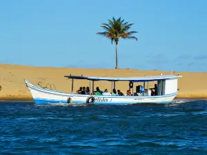 Farol da Foz Ecoturismo