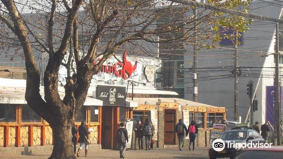 Temuco