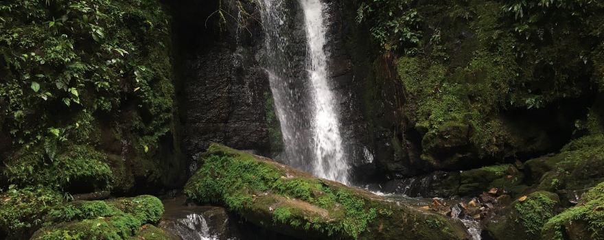 Zamora-Chinchipe