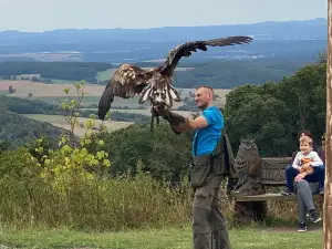 Wildlife park and Greifvogelzoo Potzberg