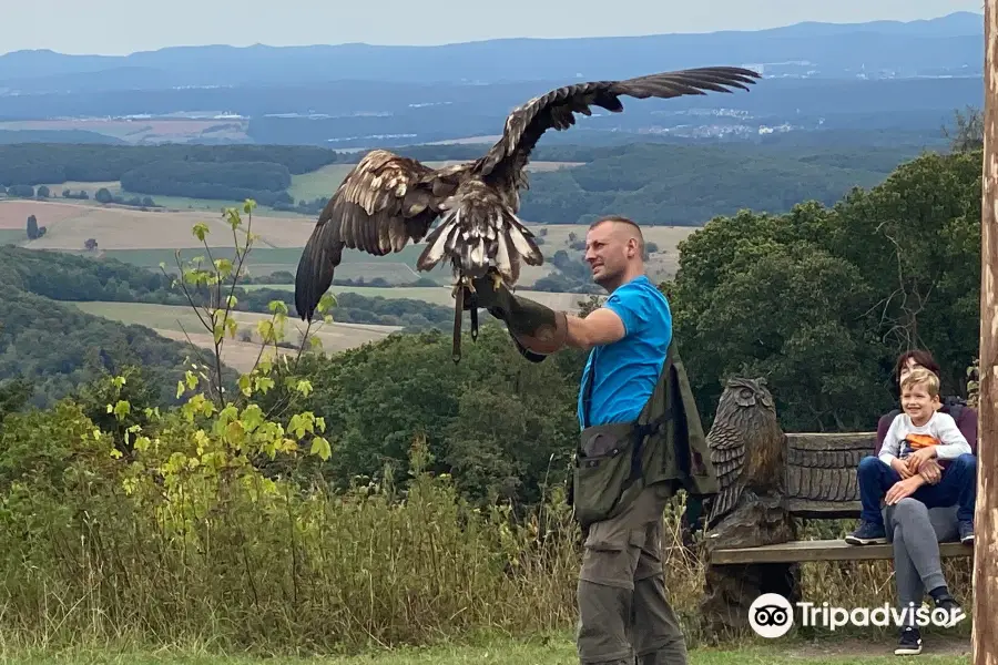 Wildpark und Greifvogelzoo Potzberg