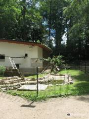 Hirschfeld Wildlife Park