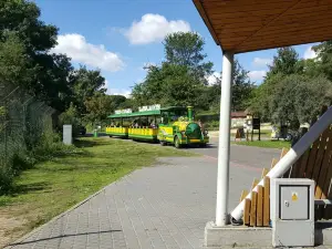 Stare Zoo Poznan