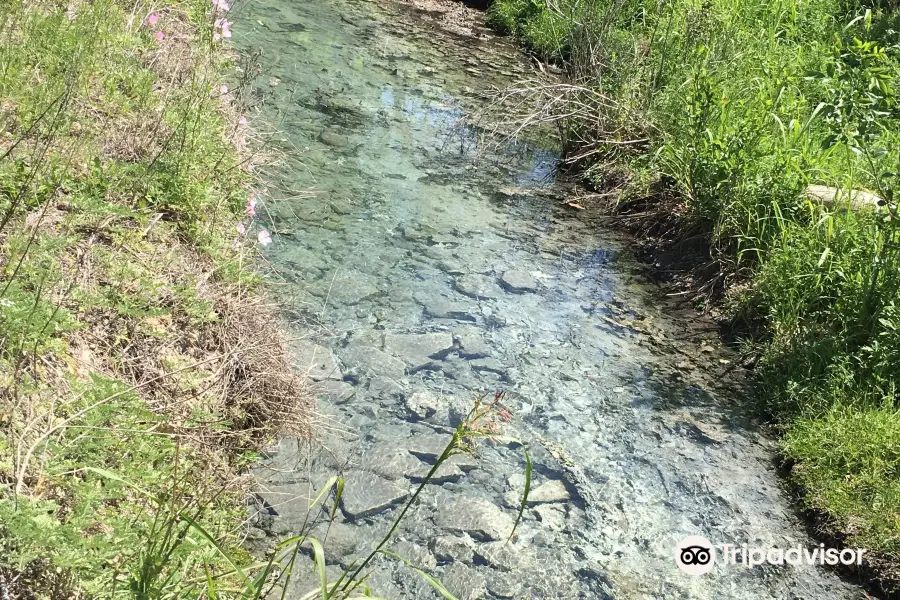 Cooper Springs Nature Trail