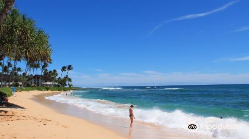 Kiahuna Beach