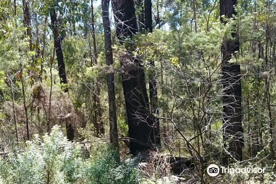 Lind National Park