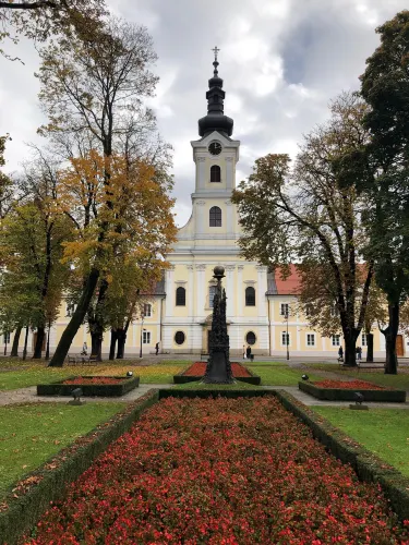 Bjelovar