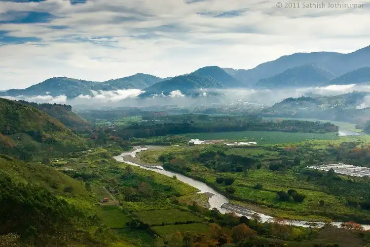 Orosi