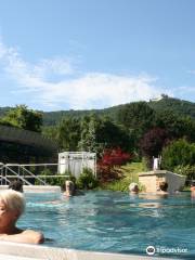 Panorama Therme