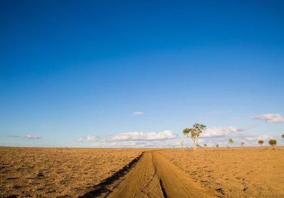 Longreach