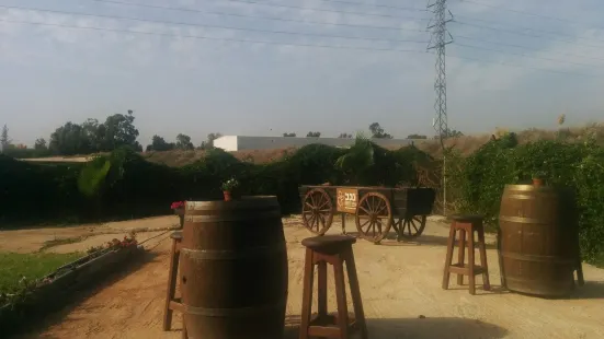 Negev Brewery