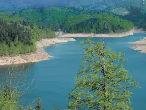 Lokvarsko jezero