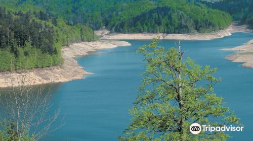 Lokvarsko jezero