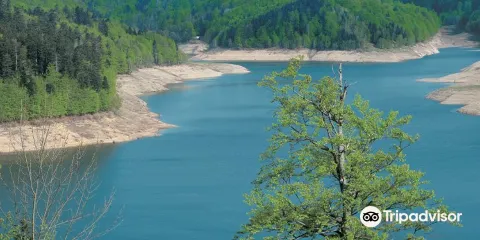 Lokvarsko jezero