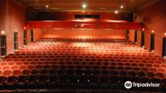 The Youngstown Playhouse