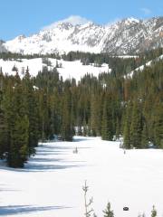 Beehive Basin Trail