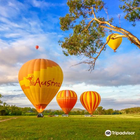 Hot Air Balloon Brisbane