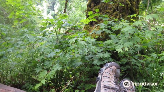 Susan Creek Campground