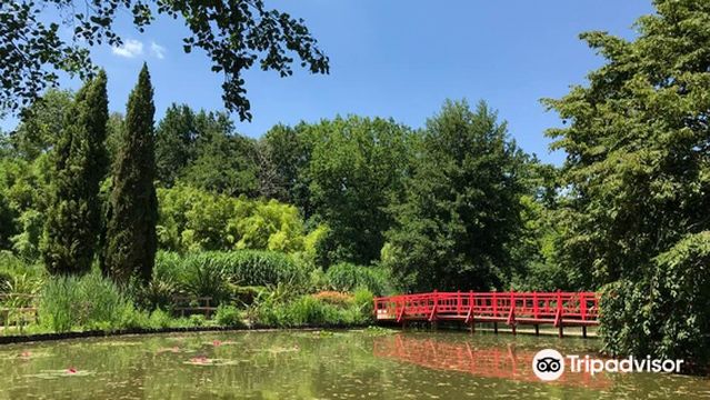 Floral Park Court Aron