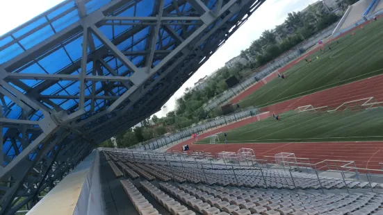 Stadium Neftyanik