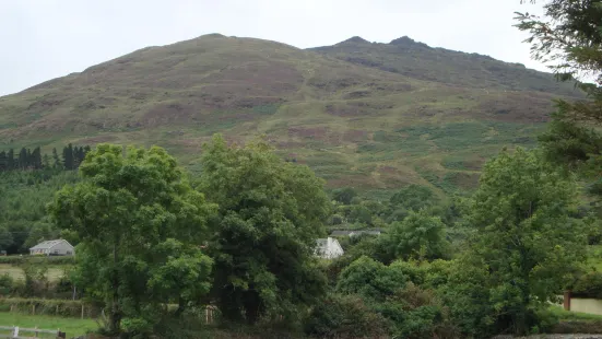 Carlingford to Omeath Greenway