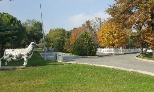 Florya Atatürk Forest