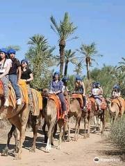 Toubkal Quad