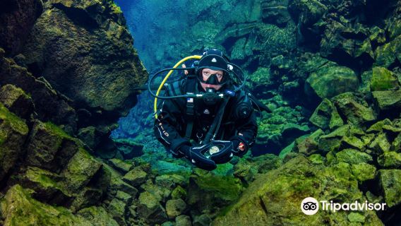 Iceland Silfra Snorkeling Experience (Professional guide+ Snorkeling Photos + Snorkeling Equipment + City Pickup)
