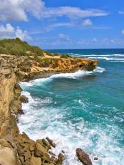 Makawehi Lithified Cliffs