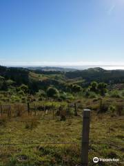 Mount Auckland Atuanui Walkway