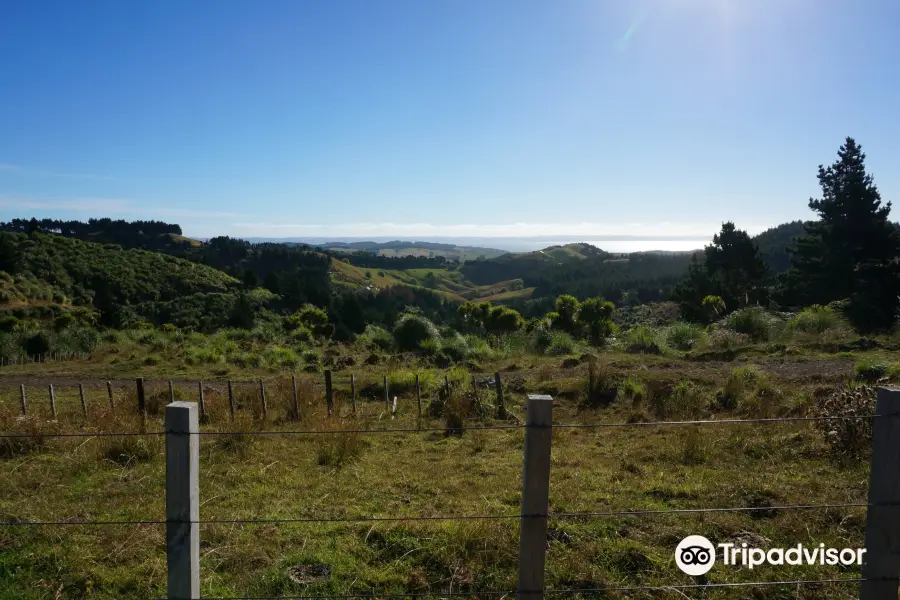 Mount Auckland Atuanui Walkway