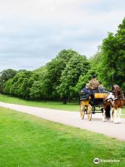 Windsor Carriages
