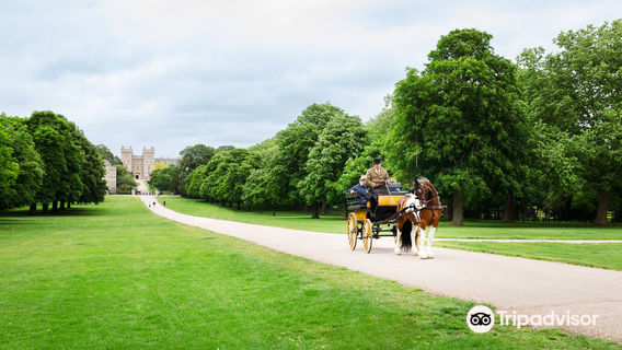 Windsor Carriages