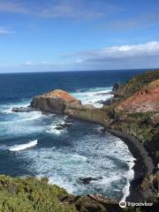 Cape Schanck Boardwalk