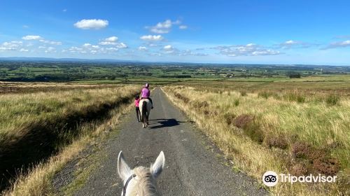 Sheans Horse Farm