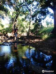 Lushington Valley Reserve