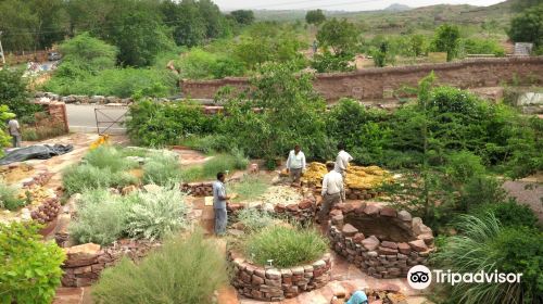 Rao Jodha Desert Rock Park