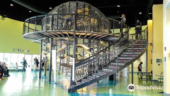 Delaware Children's Museum
