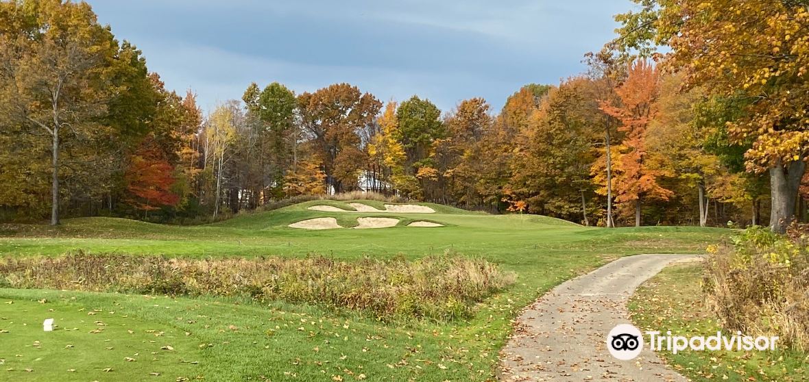 Saugatuck Township Travel Guide 2023 Things to Do, What To Eat & Tips