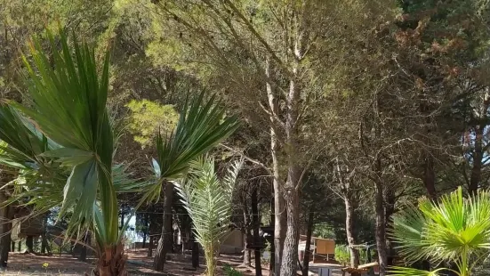 ナトゥラッヴェントゥラ・フィネストレッレ公園