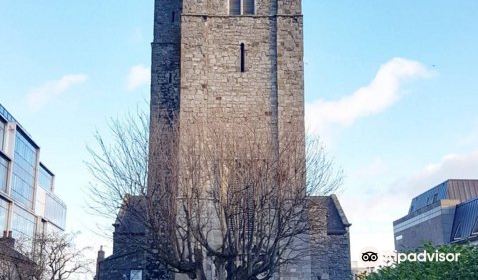 St Michan's Church of Ireland