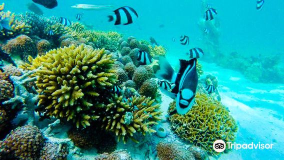 Aquacity Belle Mare Watersports