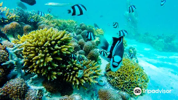 Aquacity Belle Mare Watersports