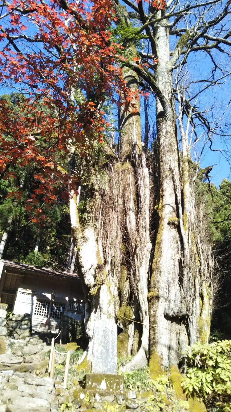 上野原市