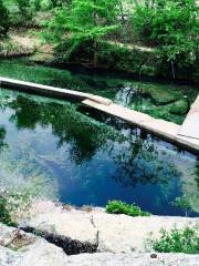 Jacob's Well Natural Area